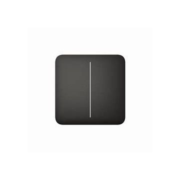 Switch SoloButton (2-gang) [55] black