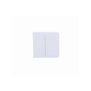 Switch SideButton (2-gang) [55] white