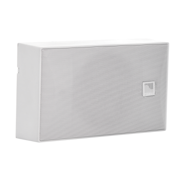 Kõlar ISPEAK5W seina 100V