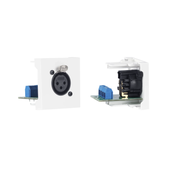 Connecion panel WP-39X F XLR